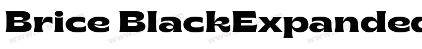 Brice BlackExpanded字体转换